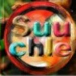 Group logo of Suuchle Business Team